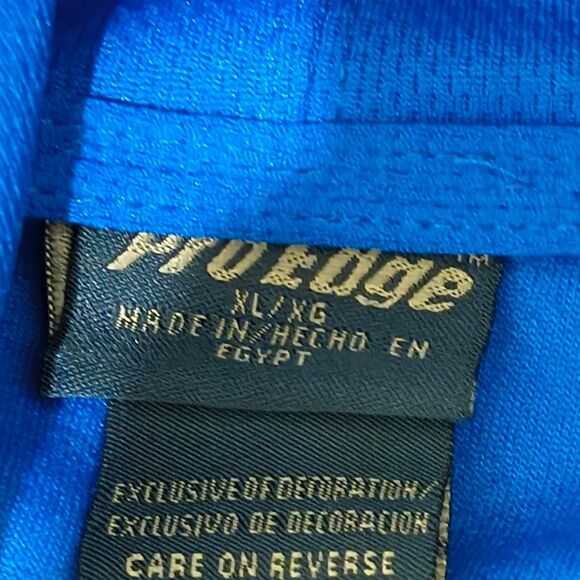 Florida Gators Pro Edge Men's Blue Hoodie - Picture 3 of 3